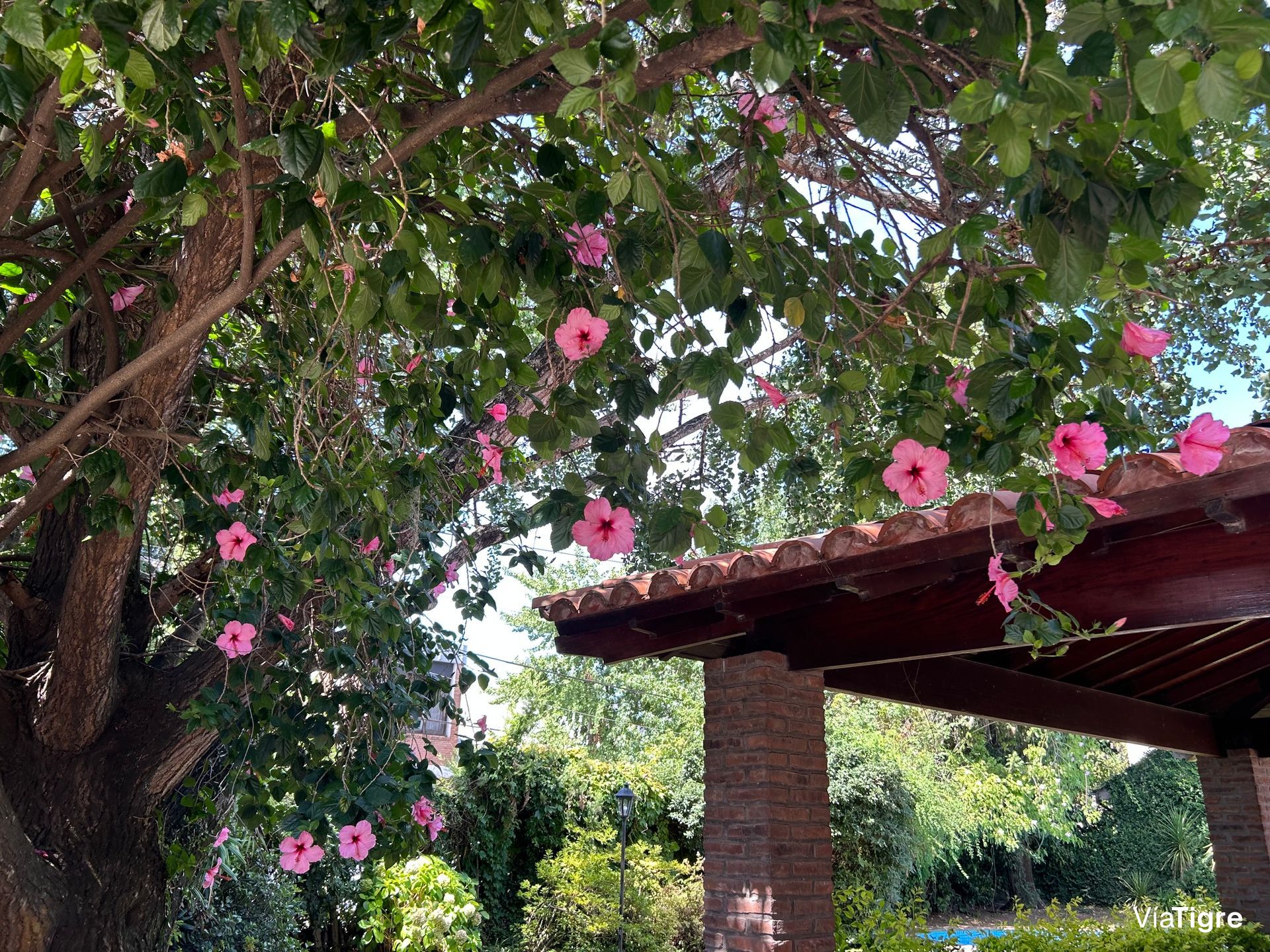 Lindisima Casa En Esquina Con Gran Jardín Y Pileta