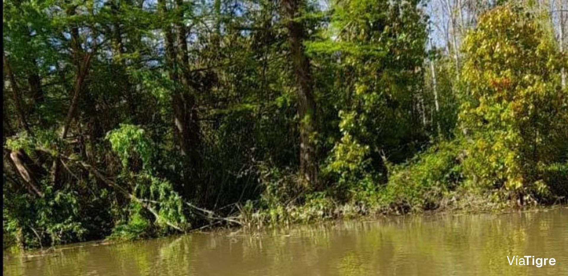 Venta Lote Delta Tigre Oportunidad
