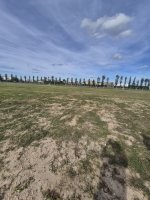 Lot for Sale in Bahia Villanueva