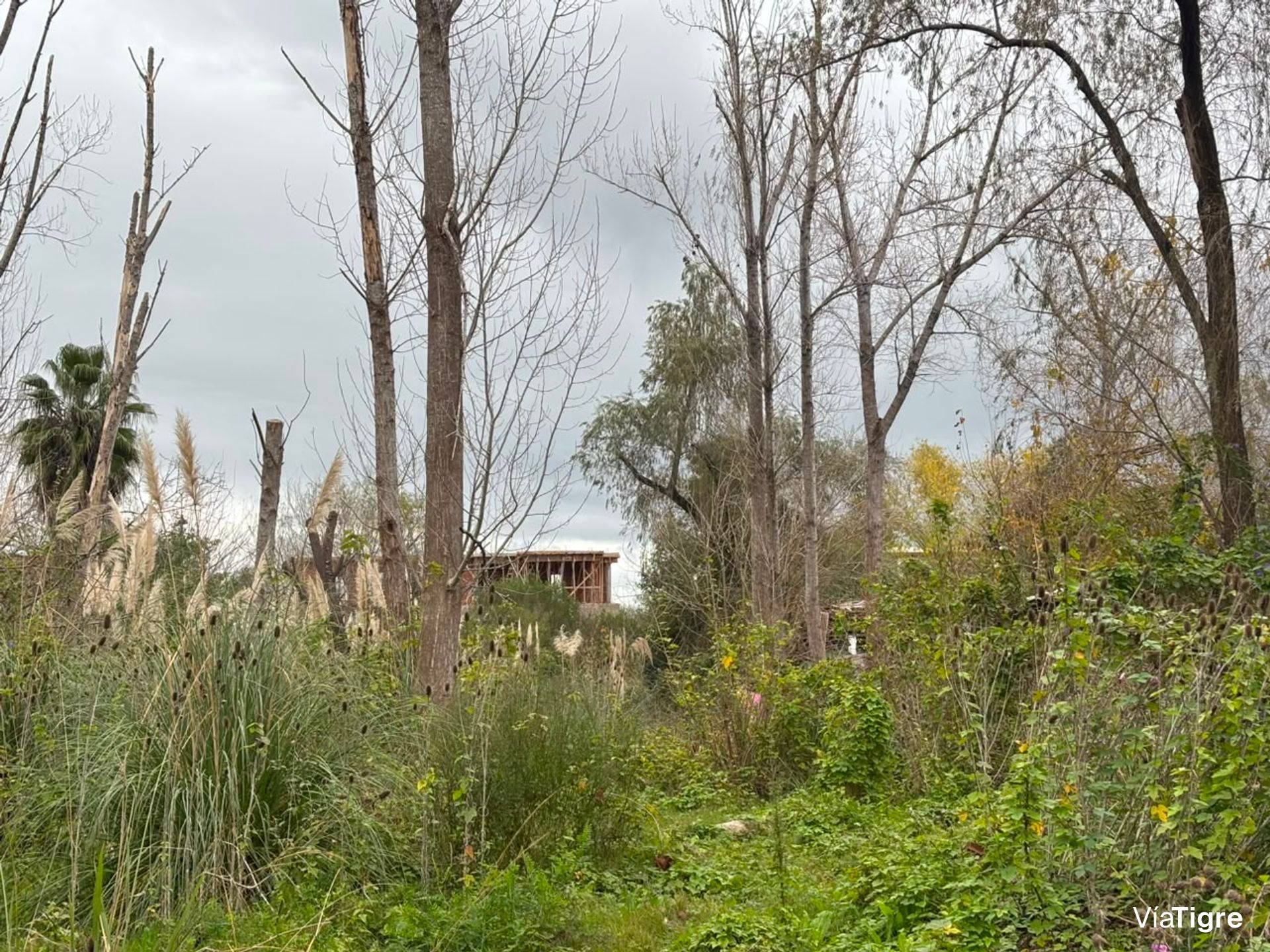 VENTA - AMPLIO LOTE DE 1.404 m² - R. DE MILBERG