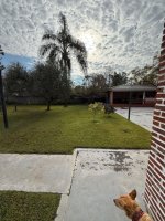Lot 688 square meters with construction, Lomas de San Isidro