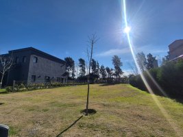 Land for Sale in Santa Ana Villanueva Neighborhood