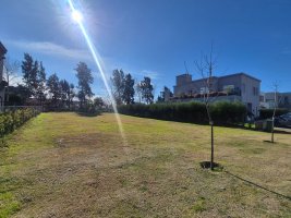 Land for Sale in Santa Ana Villanueva Neighborhood