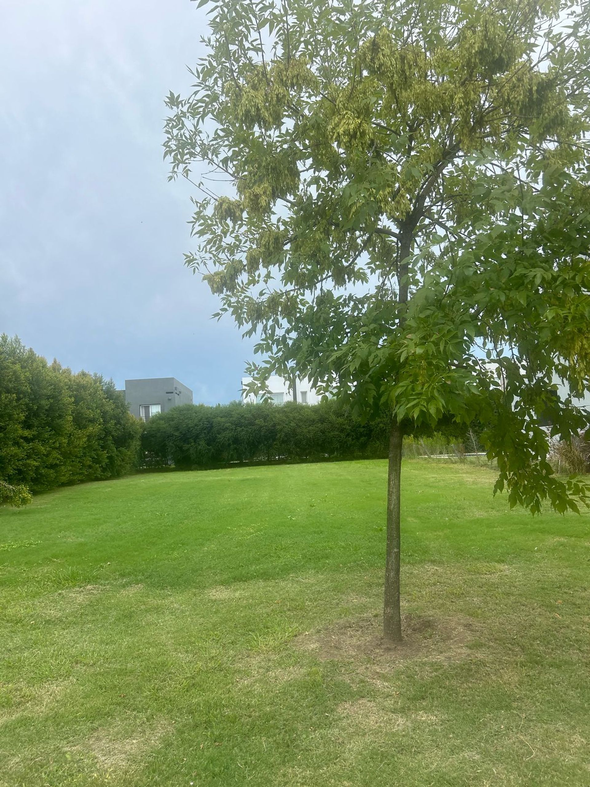 Venta lote central Barrio Los Castaños Nordelta.