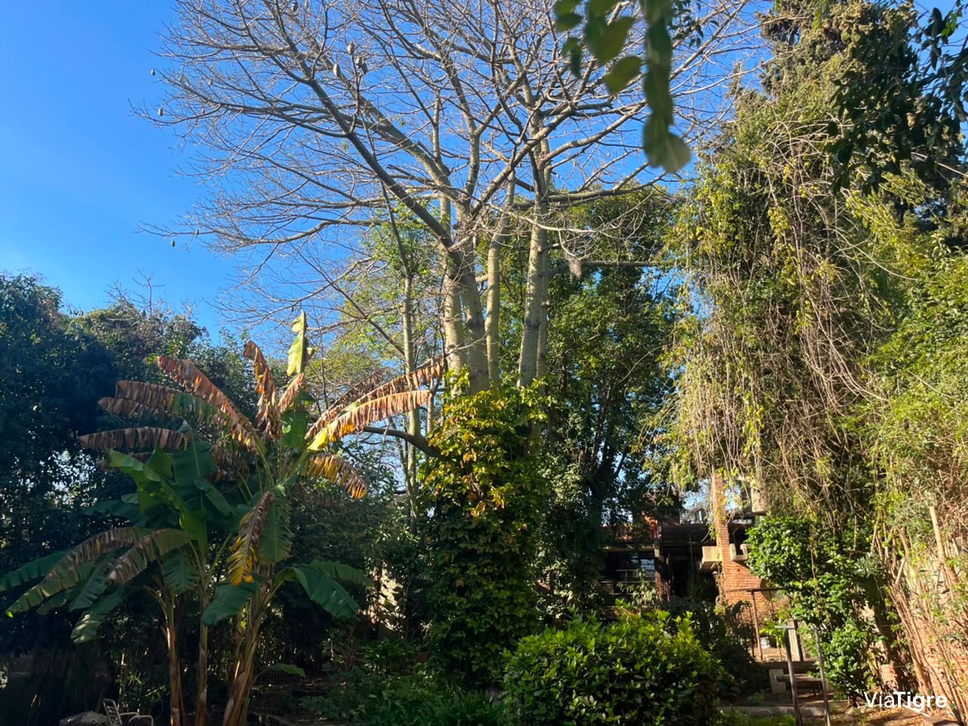 Venta casa en Pacheco.