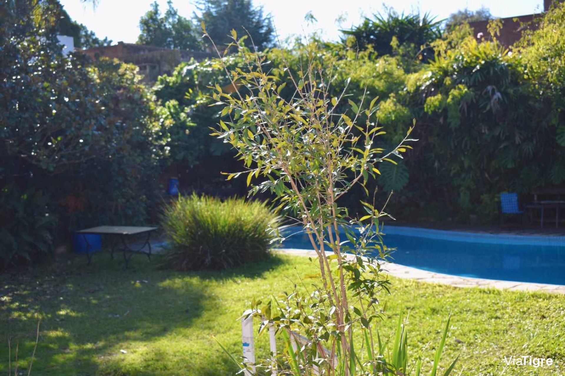 Venta Casa 6 Ambientes Vicente Lopez Con Parque