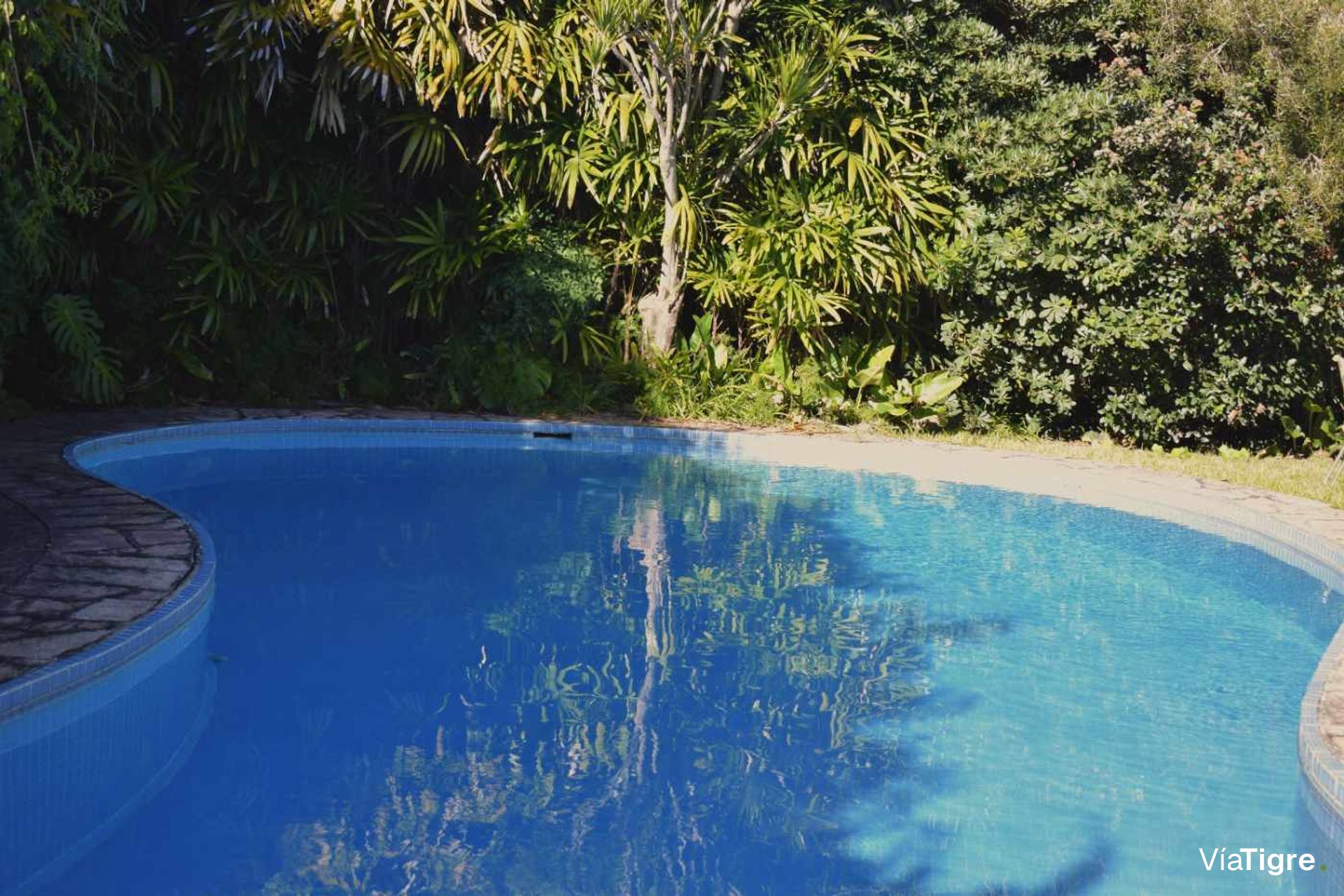 Venta Casa 6 Ambientes Vicente Lopez Con Parque