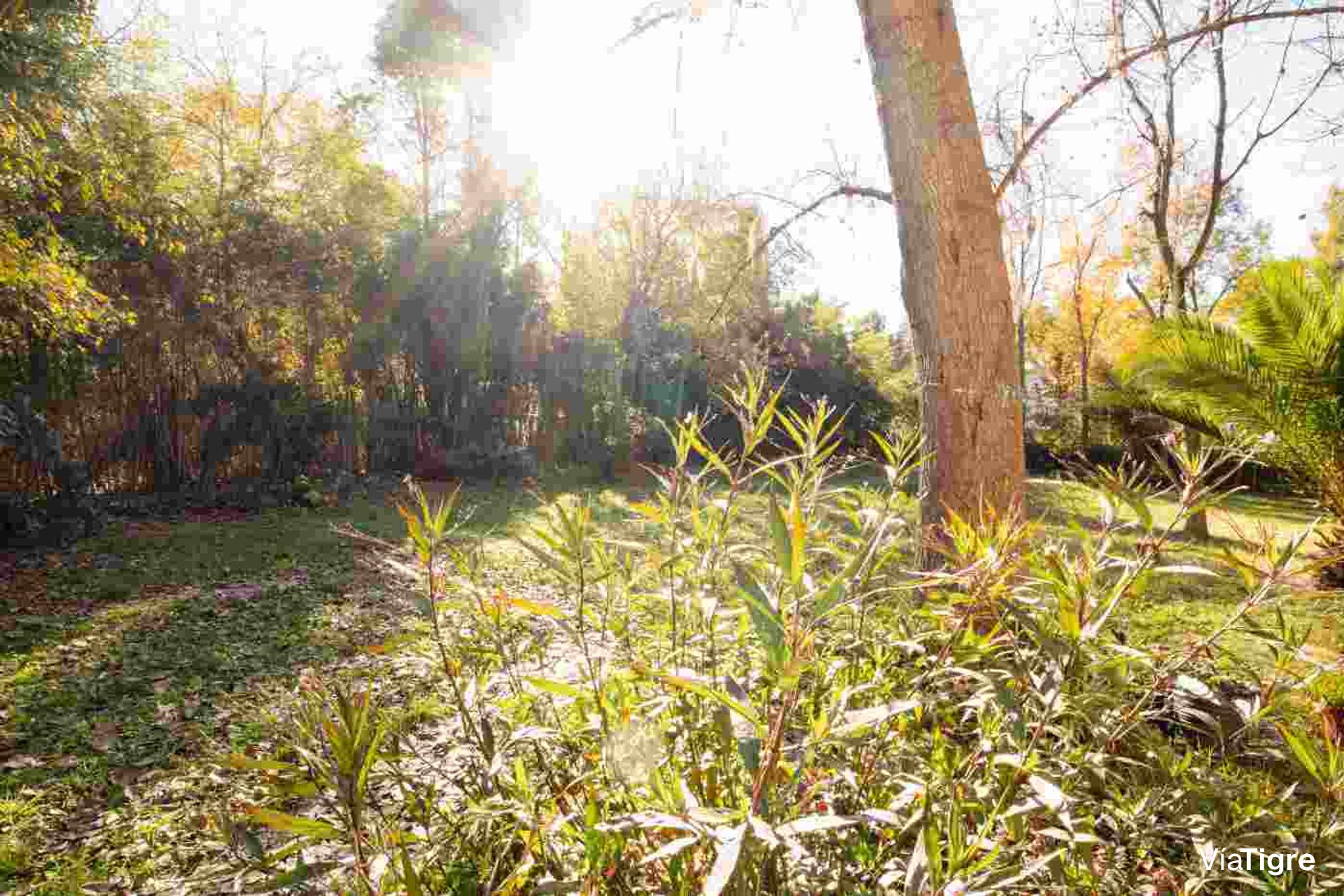 Lote en Venta en La Bota Benavidez 800 m2