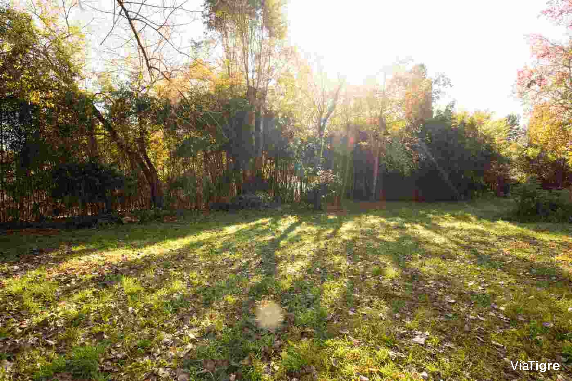 Lote en Venta en La Bota Benavidez 800 m2