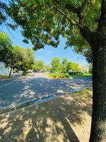 Terreno en Santa Catalina,Villa Nueva APTO CRÉDITO
