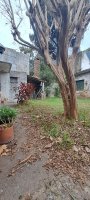 Lot for sale for real estate development Florida VL