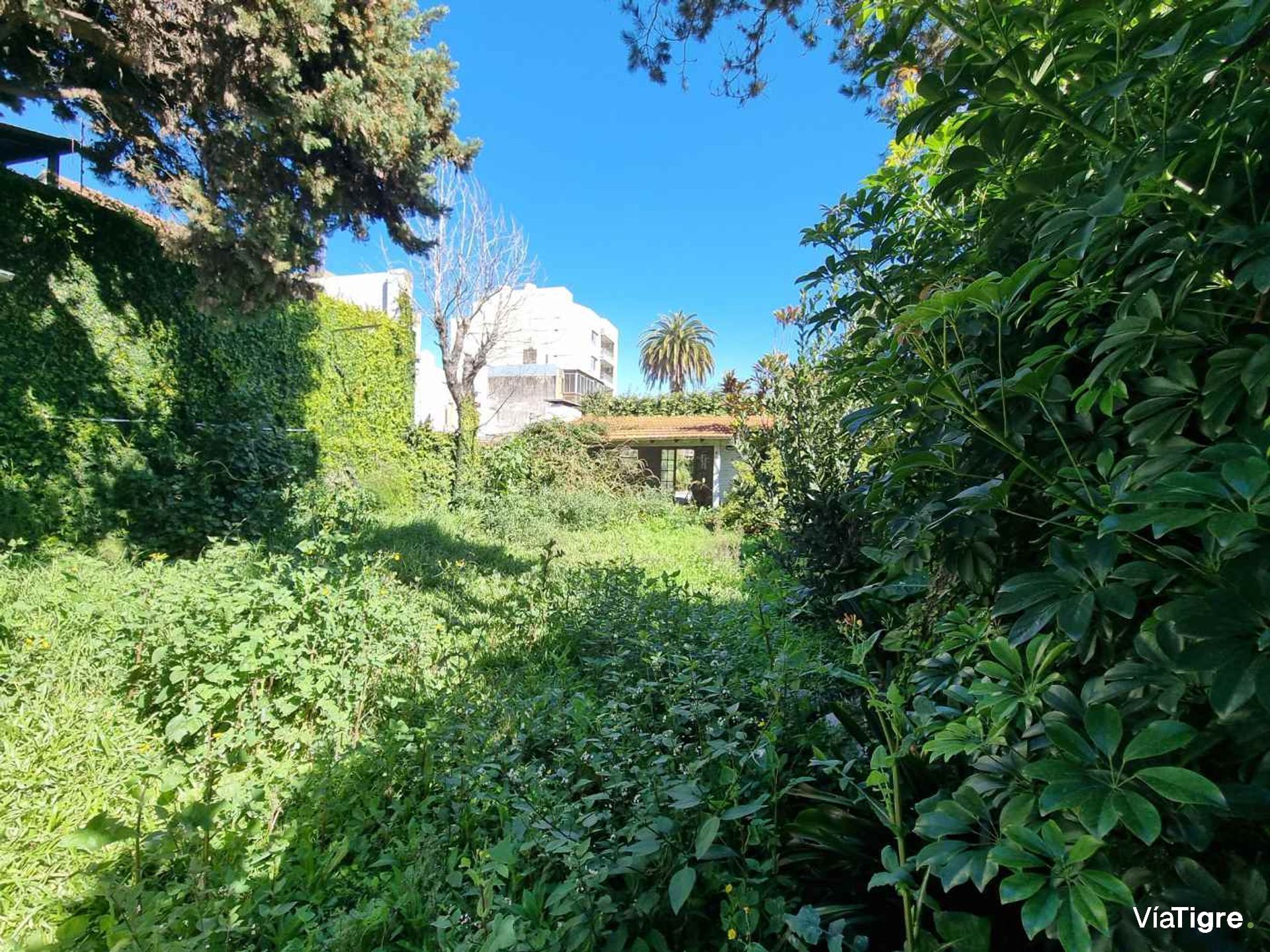 Casa En Venta Olivos Vte Lopez Jardin Y Pileta
