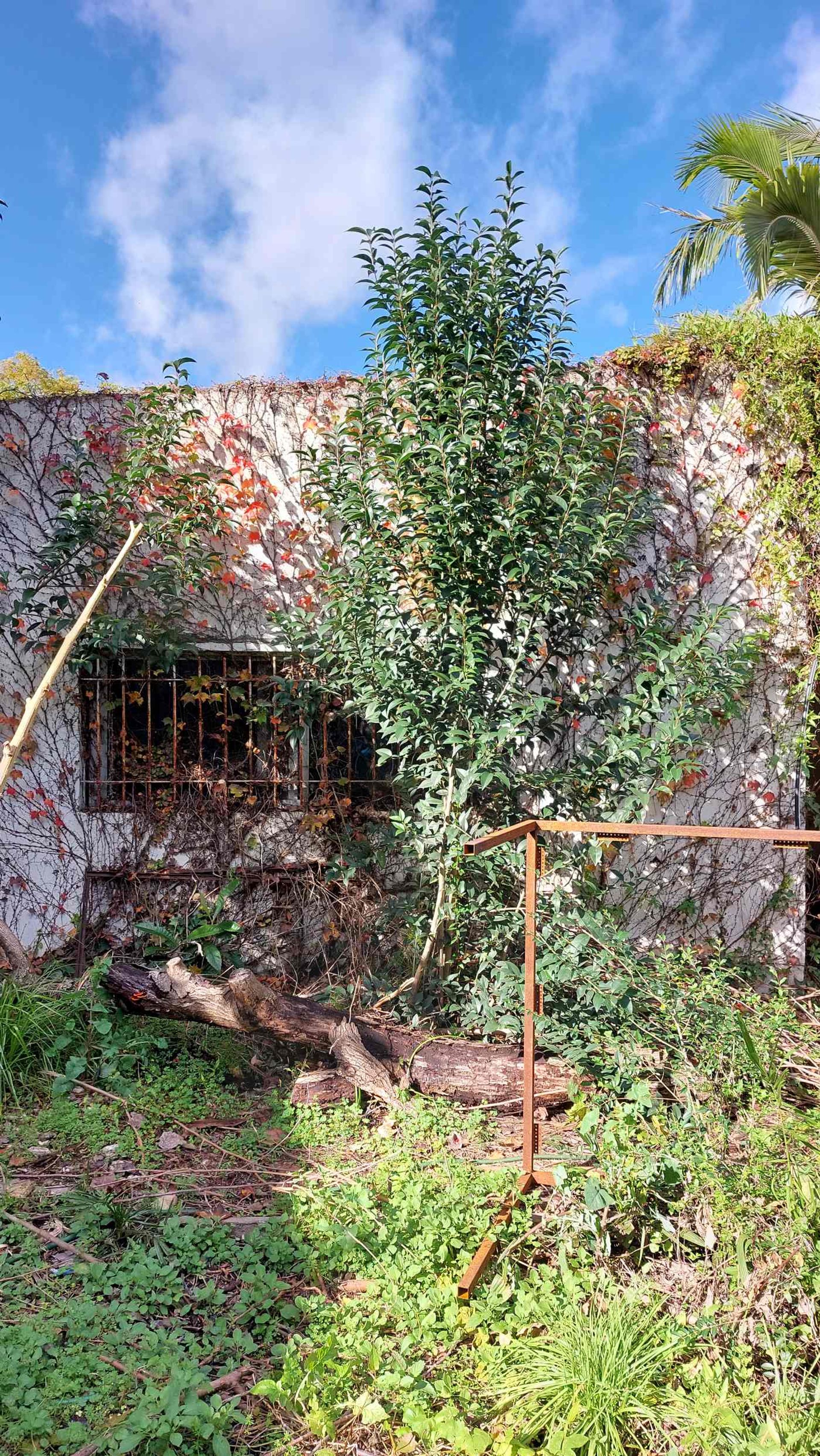 Venta de terreno en San Isidro