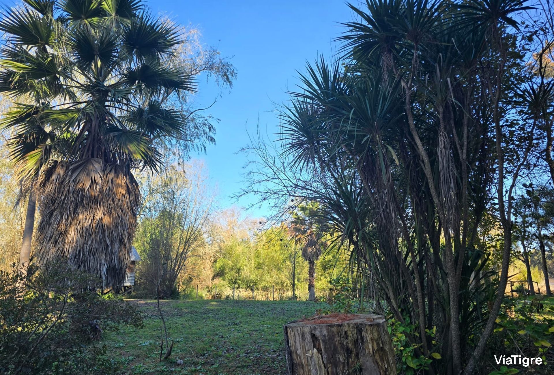 Venta Casa Isla Cabañas Compl Restaurante En Tigre