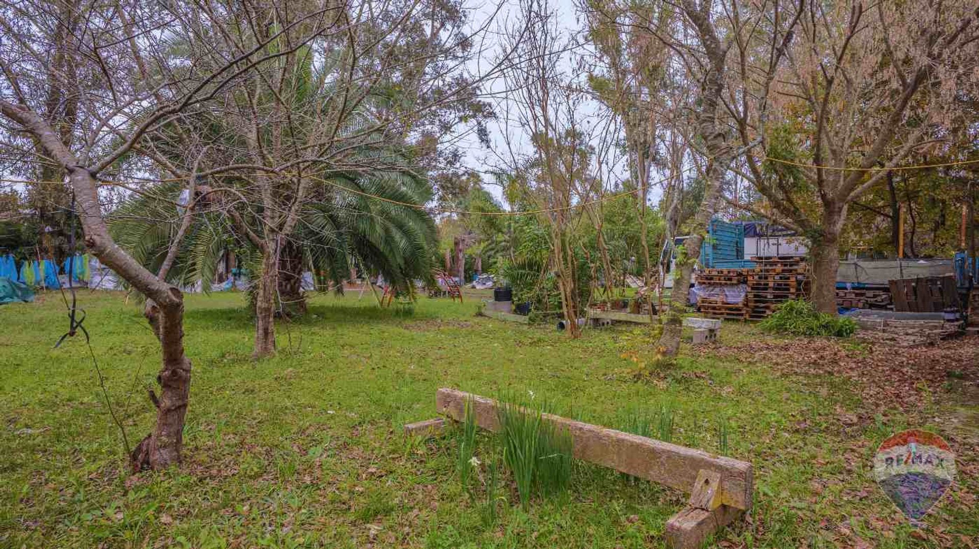 VENTA Quinta de 5000m² con 3 casas , Benavidez