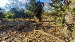 Lot Canal Urion and Canal del Este 1 Section Tigre