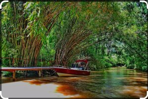 Lot Canal Urion and Canal del Este 1 Section Tigre