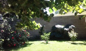SALE OF LOT-TERRENO 345 M2 EXCELLENT LOCATION BENAVIDEZ