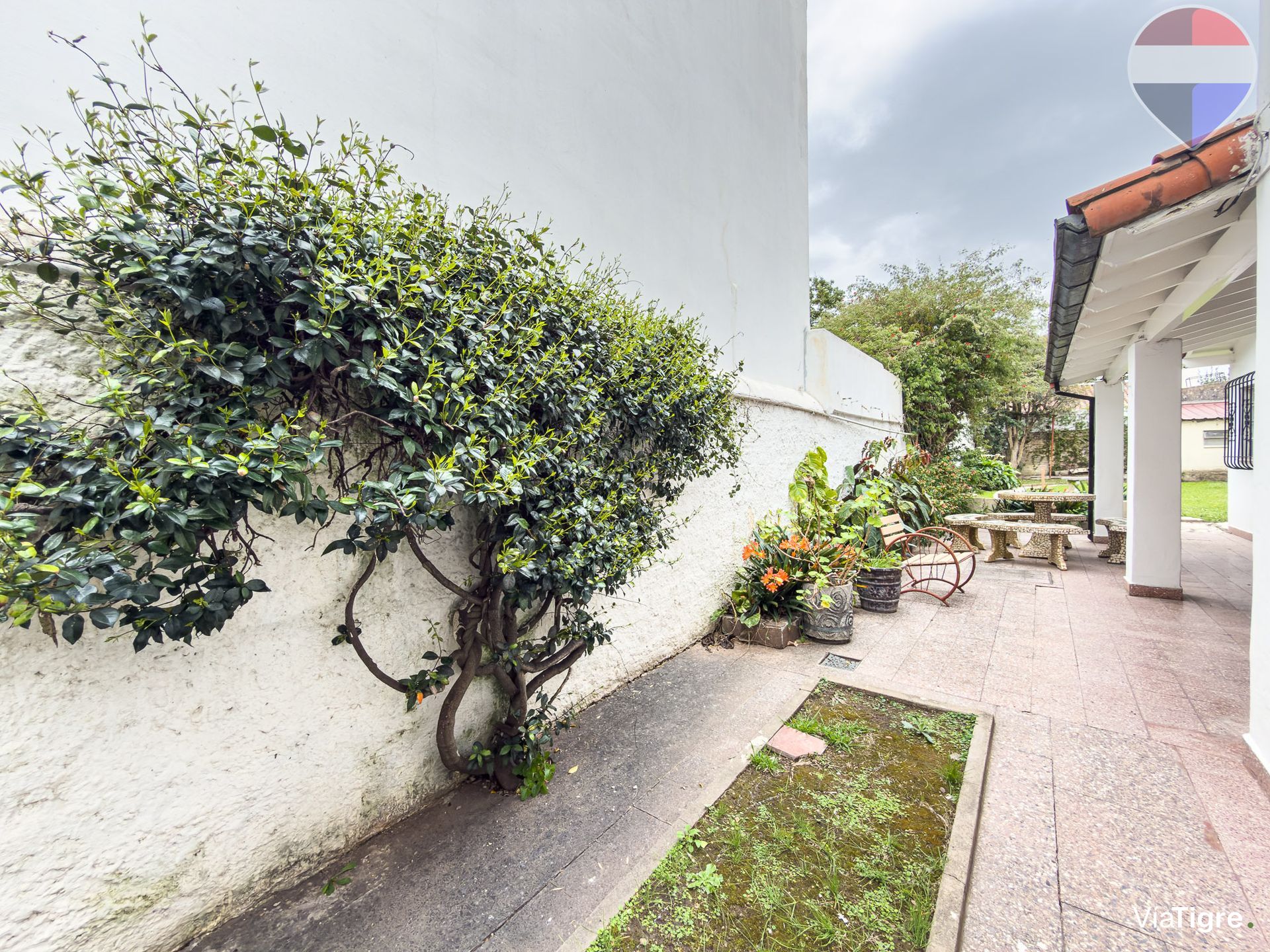 Venta Multifamiliar Casa+Patio+Consul+Depto