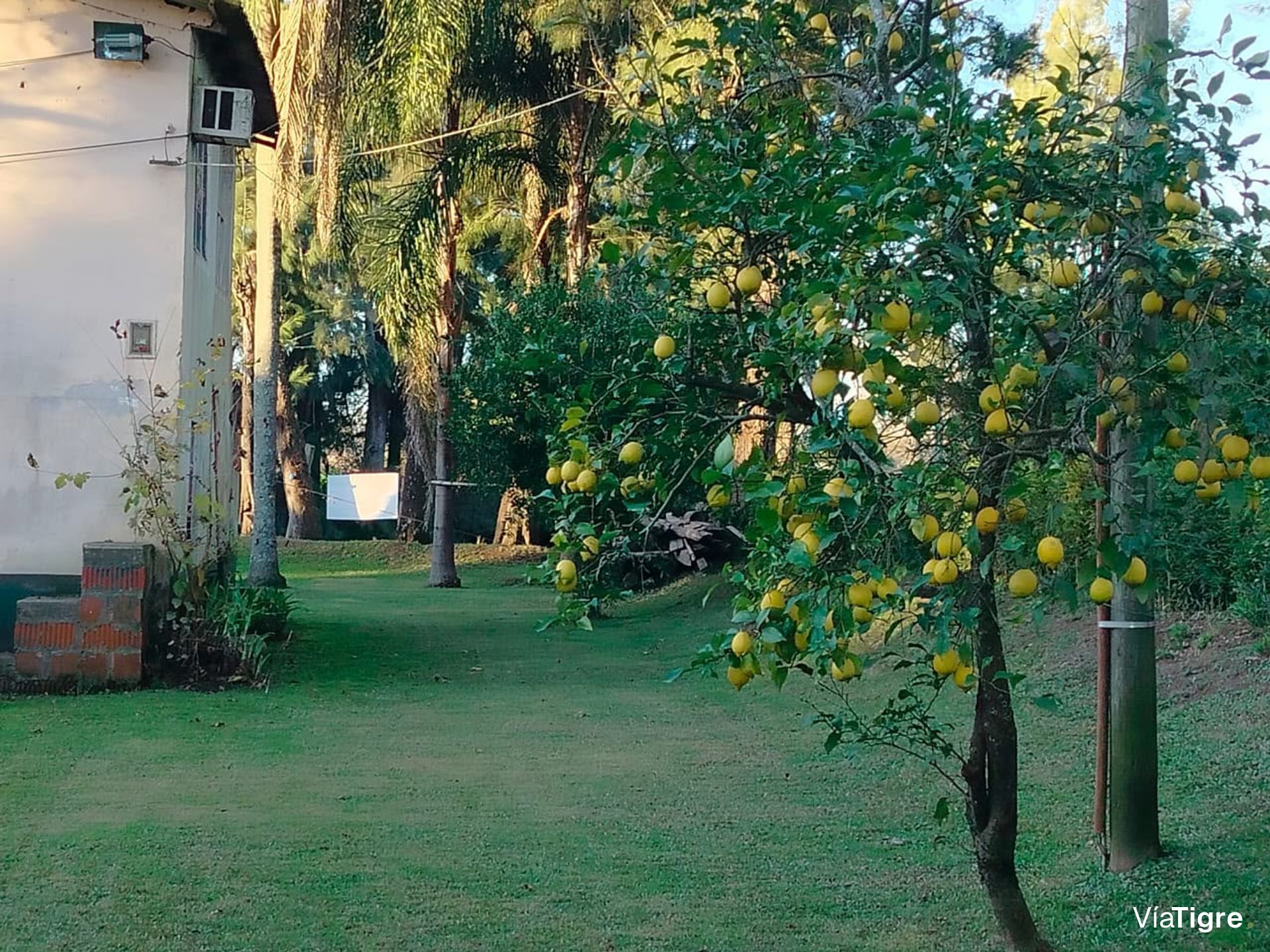 VENTA CASA CON MUELLE PROPIO EN ISLA Tu DEL TIGRE