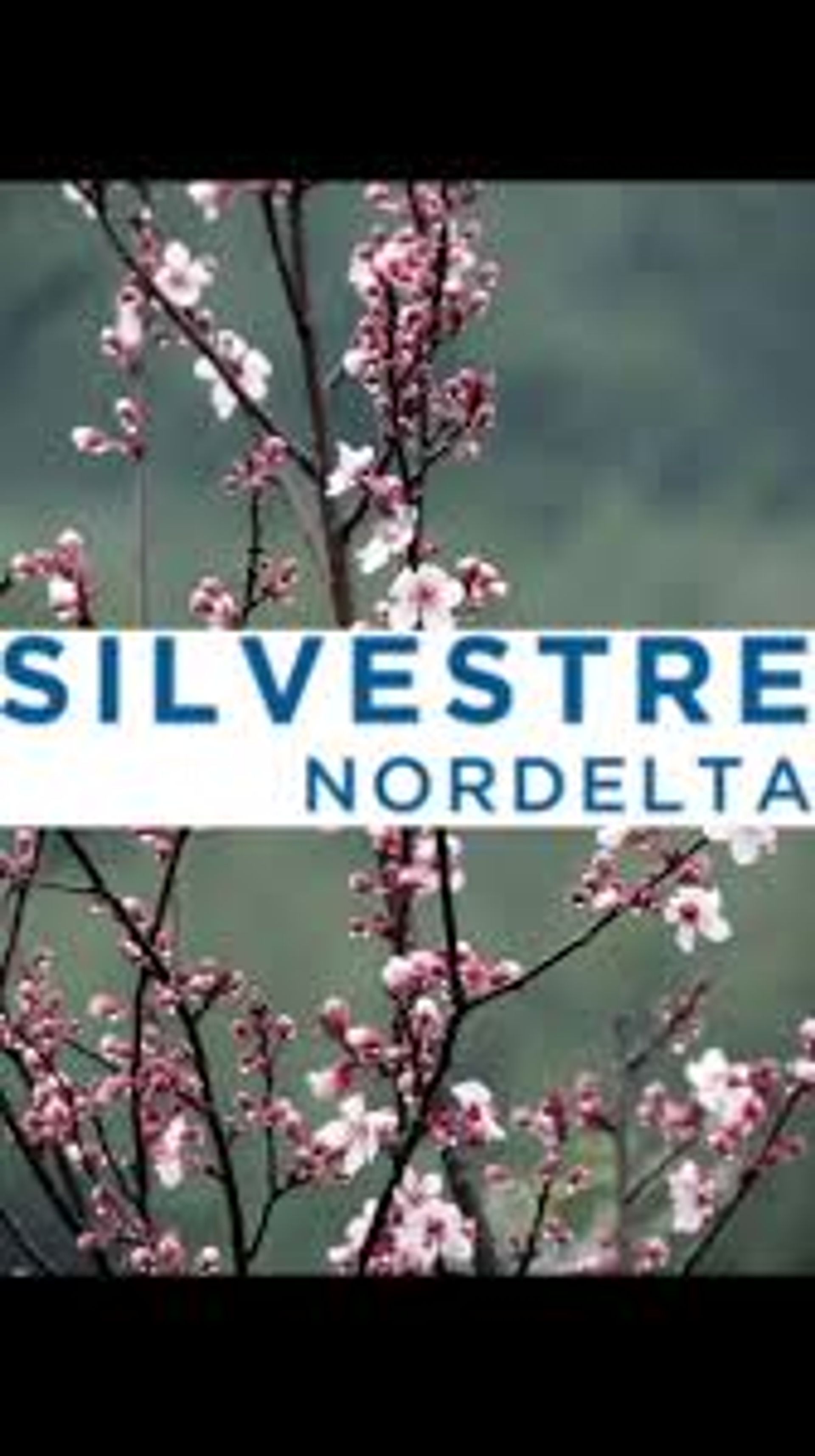Lot for Sale – Silvestre Neighborhood, Nordelta Al Agua