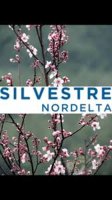 Lot for Sale – Silvestre Neighborhood, Nordelta Al Agua