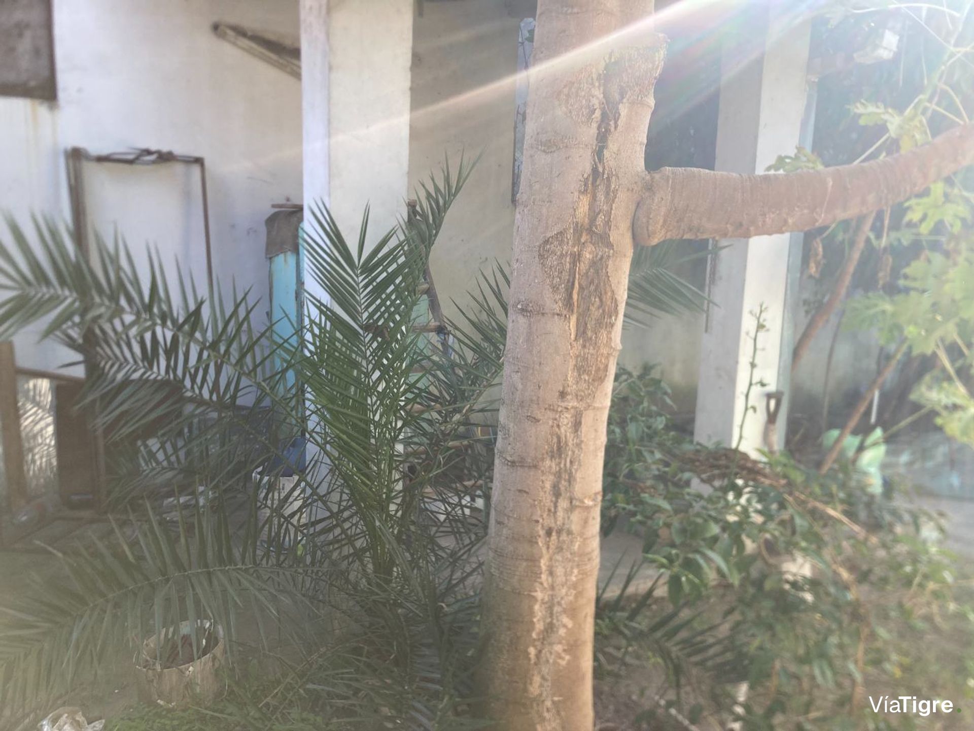 Venta Casa 4 Ambientes Con Patio Don Torcuato