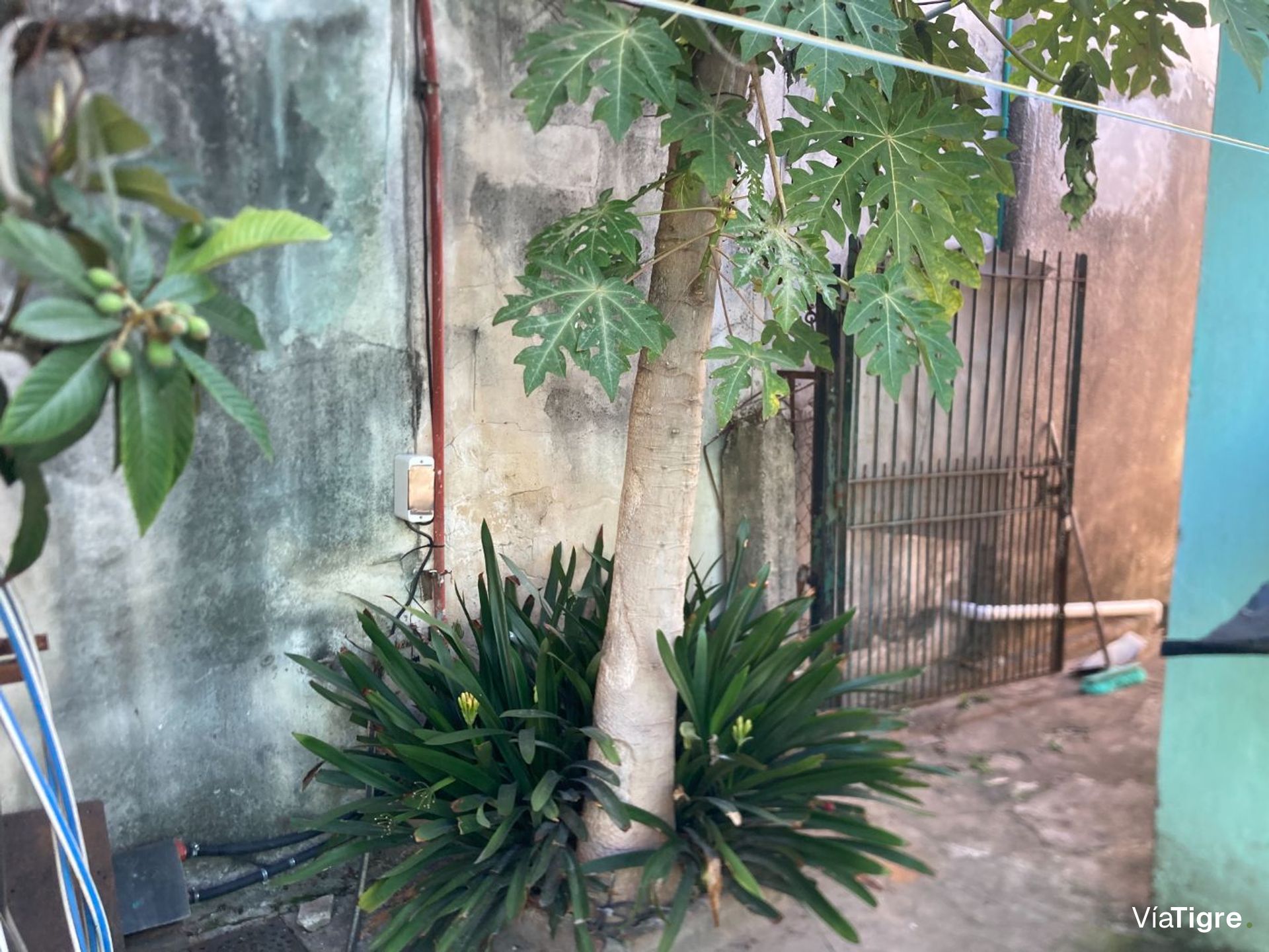 Venta Casa 4 Ambientes Con Patio Don Torcuato