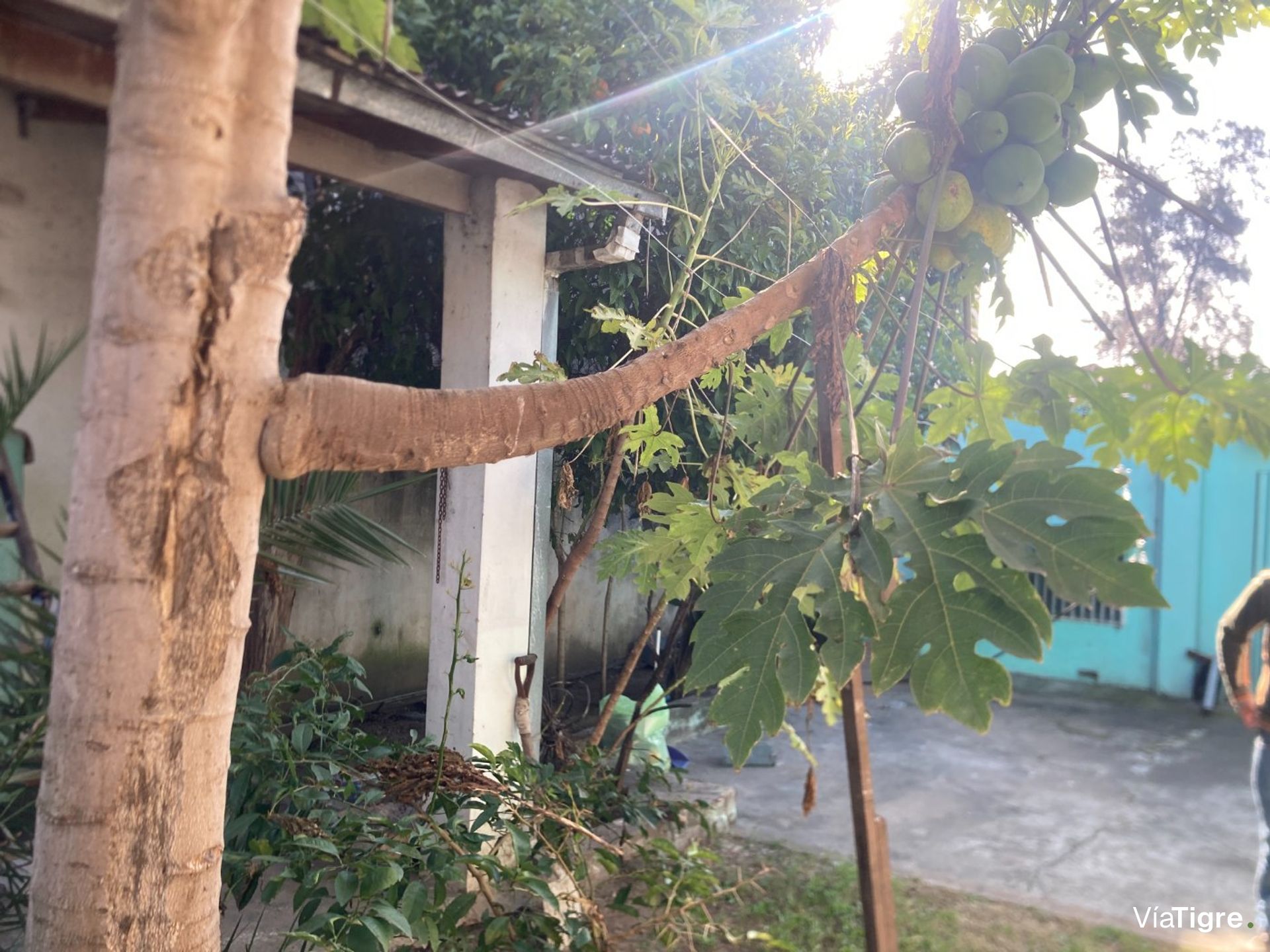 Venta Casa 4 Ambientes Con Patio Don Torcuato