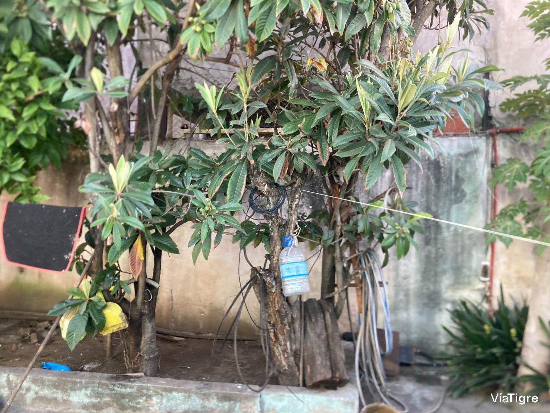 Venta Casa 4 Ambientes Con Patio Don Torcuato