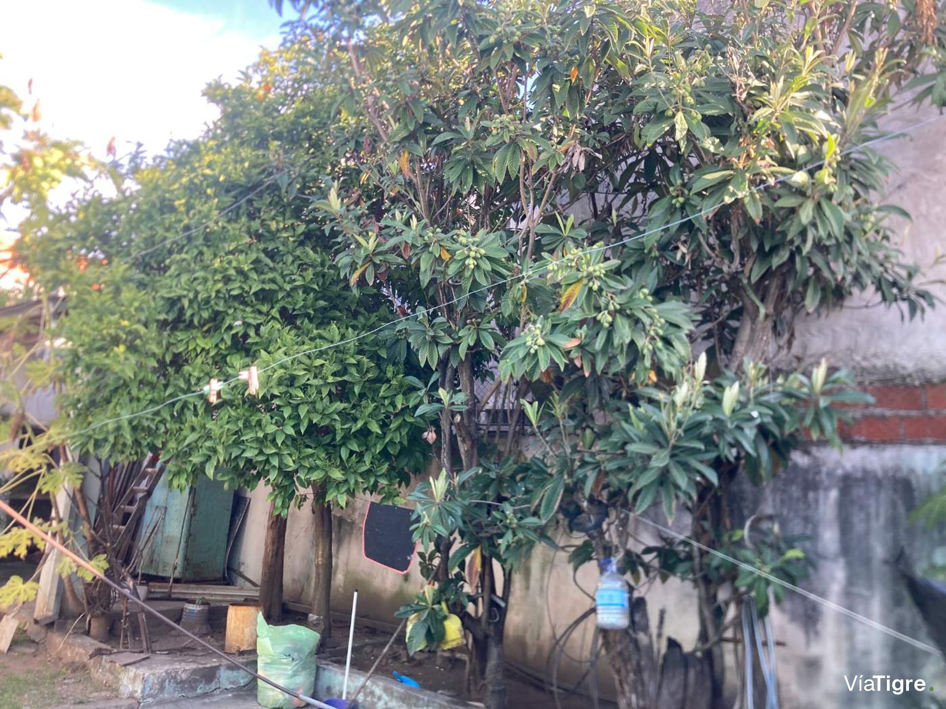 Venta Casa 4 Ambientes Con Patio Don Torcuato