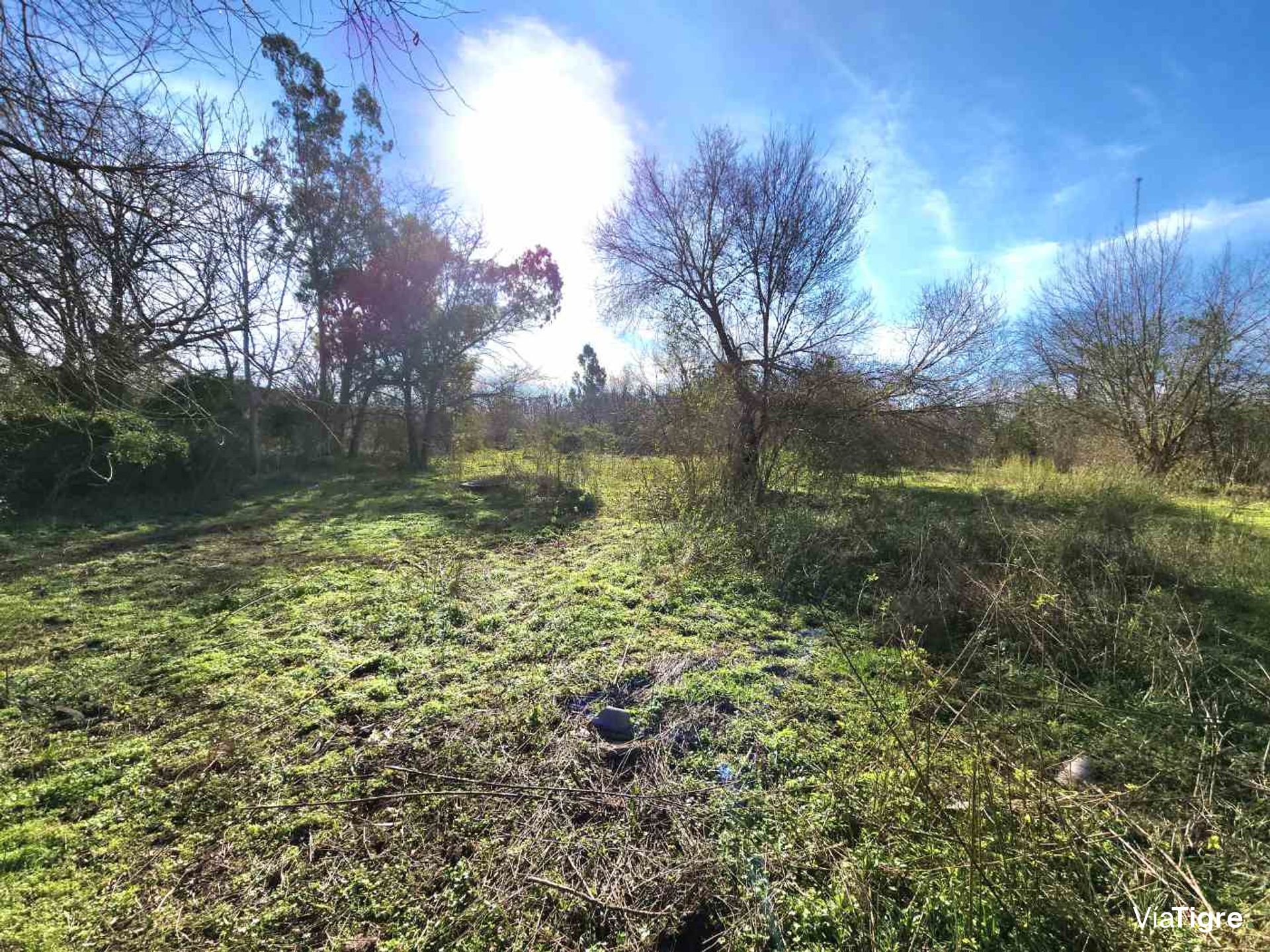 Venta De Lote En Benavidez