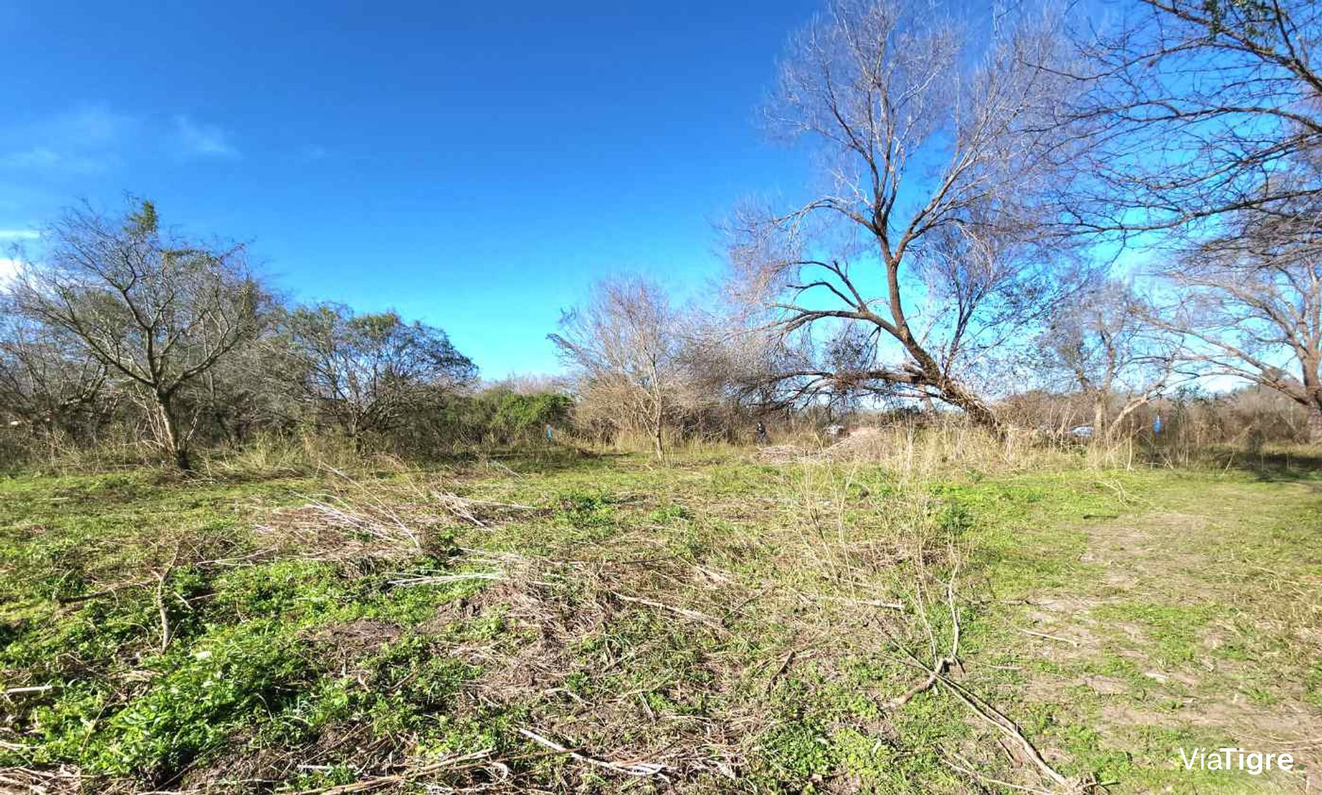 Venta De Lote En Benavidez