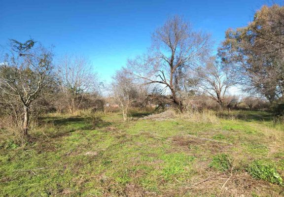 Sale of Land in Benavidez