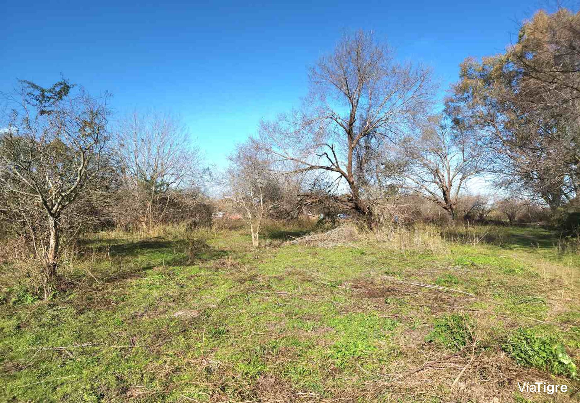 Venta De Lote En Benavidez