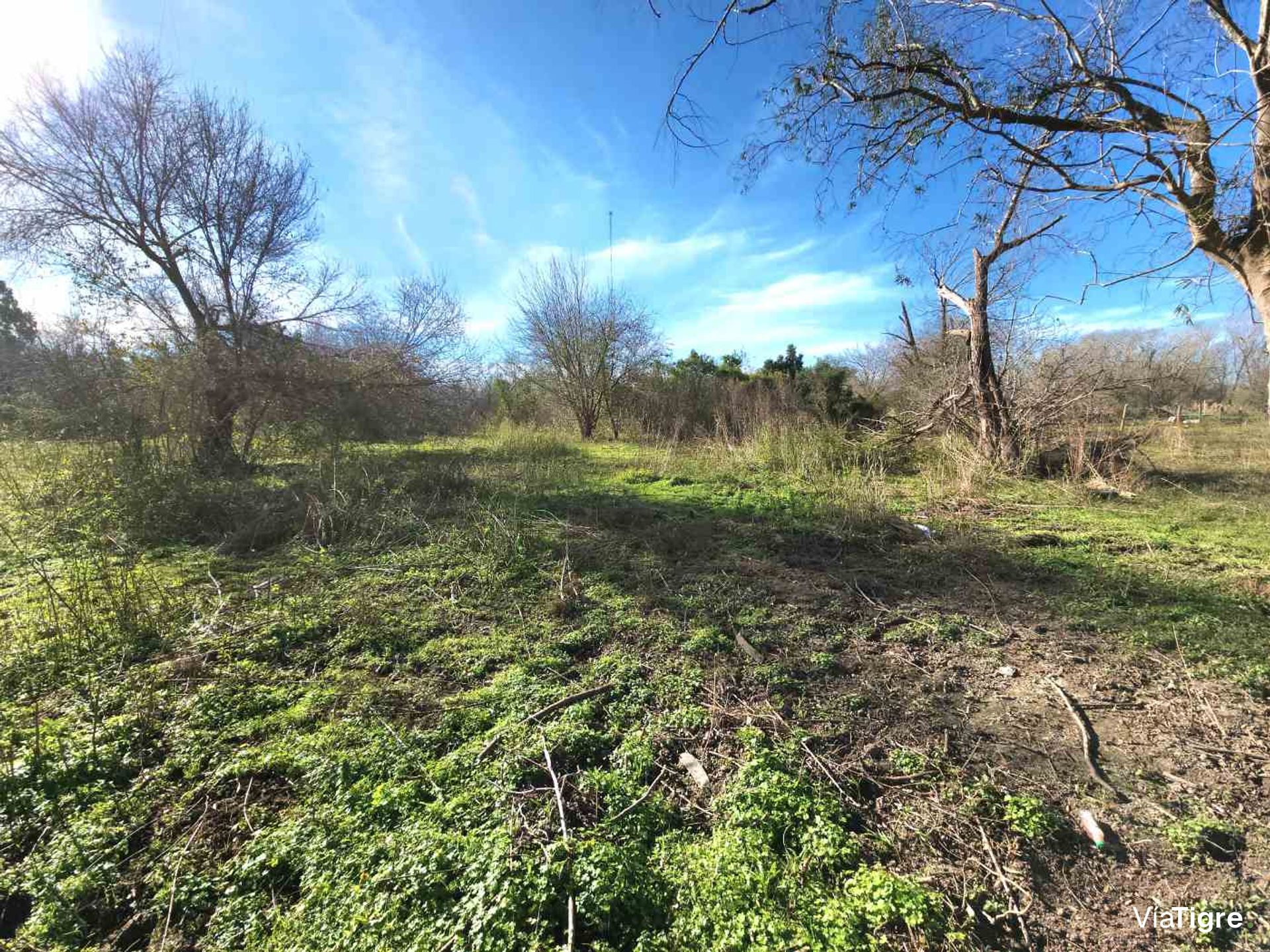 Benavidez Lote En Venta