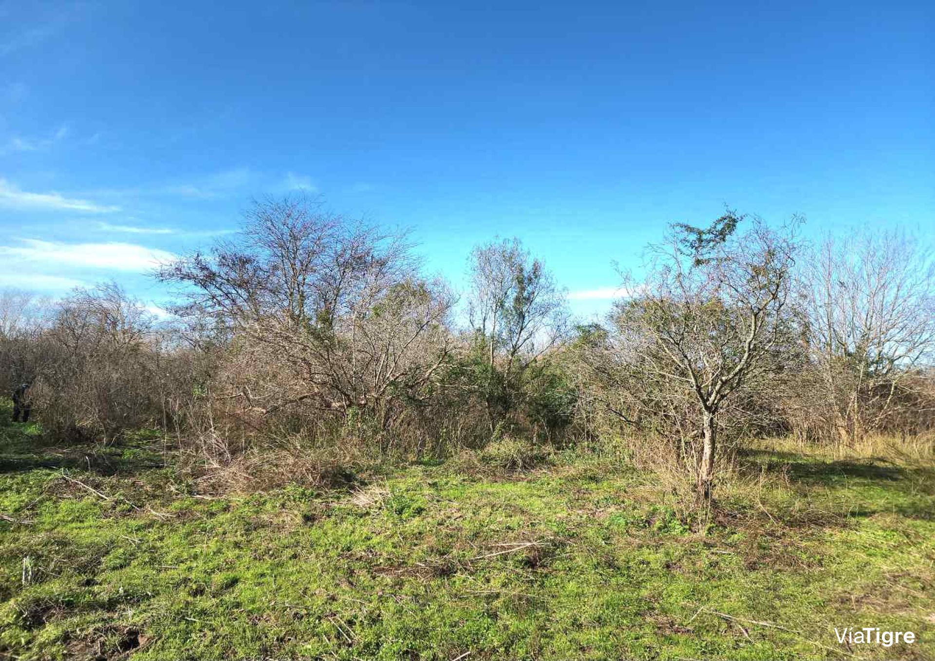 Benavidez Lote En Venta
