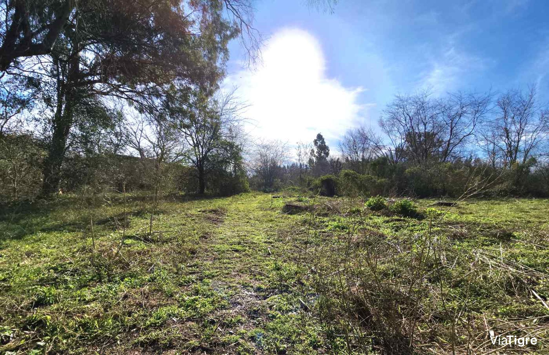 Lote En Venta En Benavidez