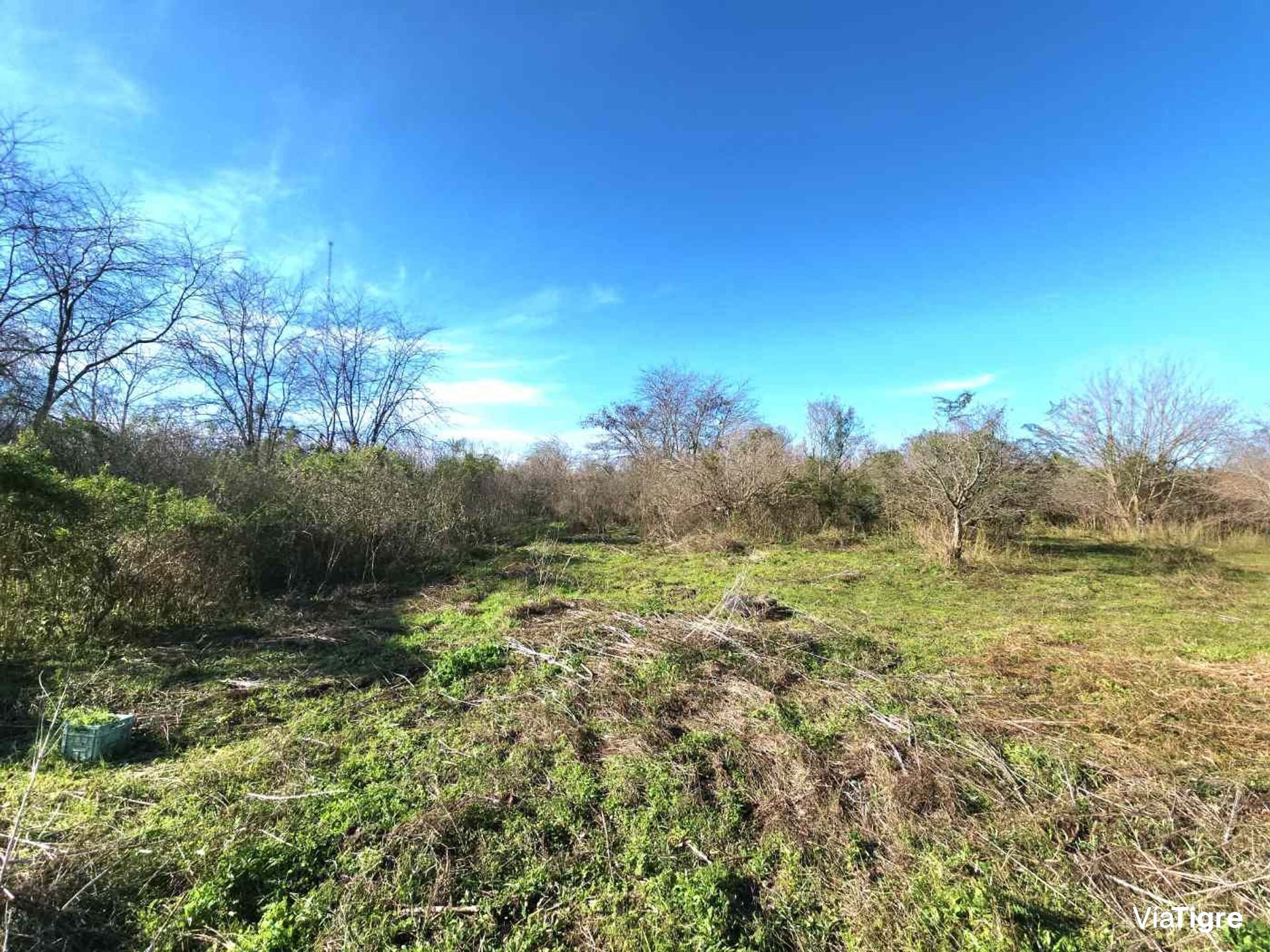 Benavidez Lote En Venta