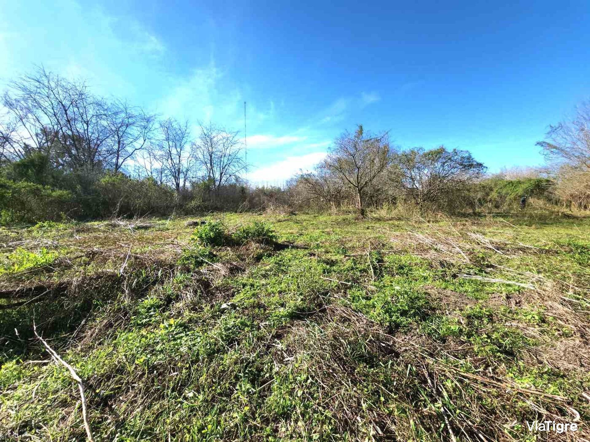 Benavidez Lote En Venta