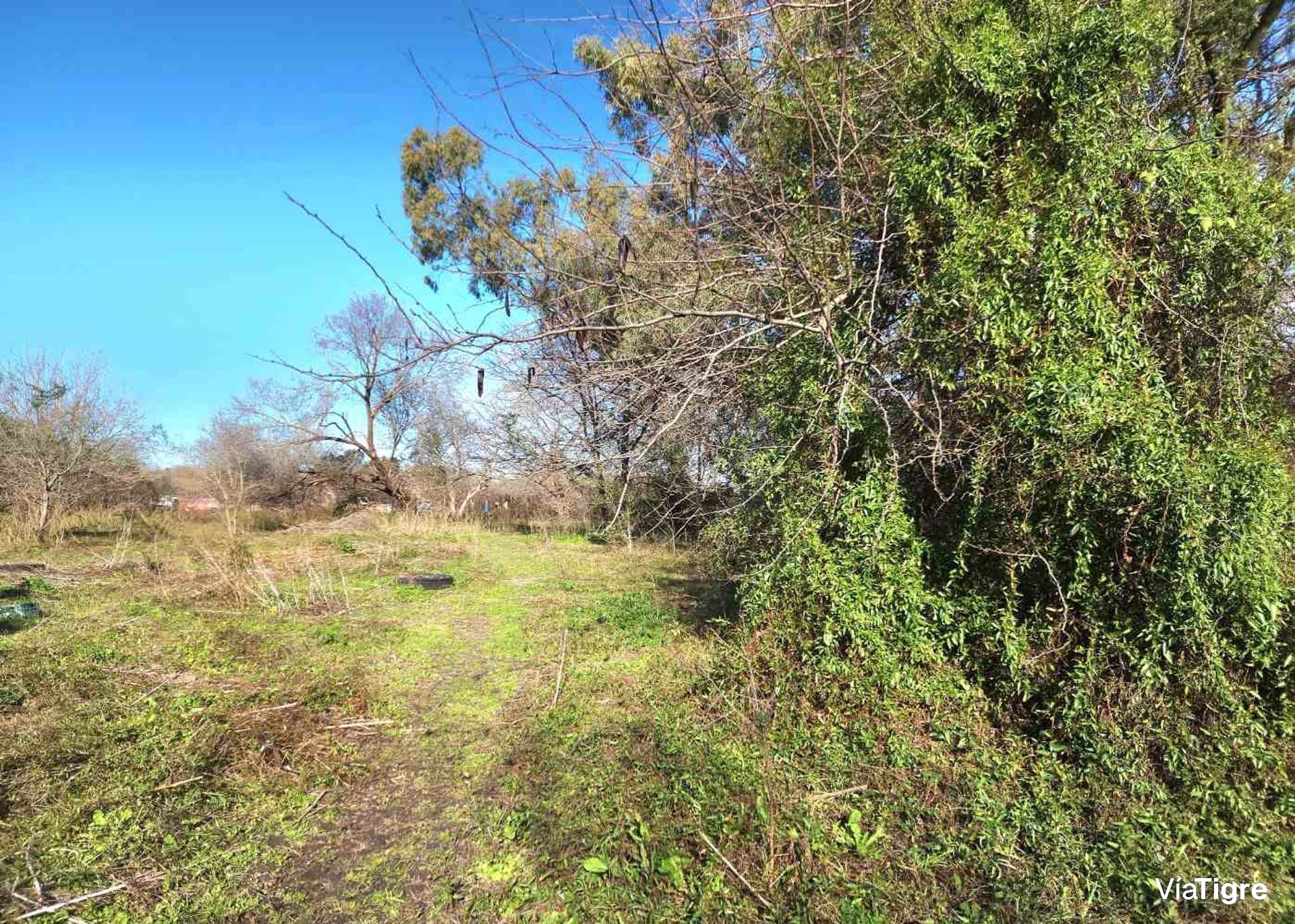 Benavidez Lote En Venta