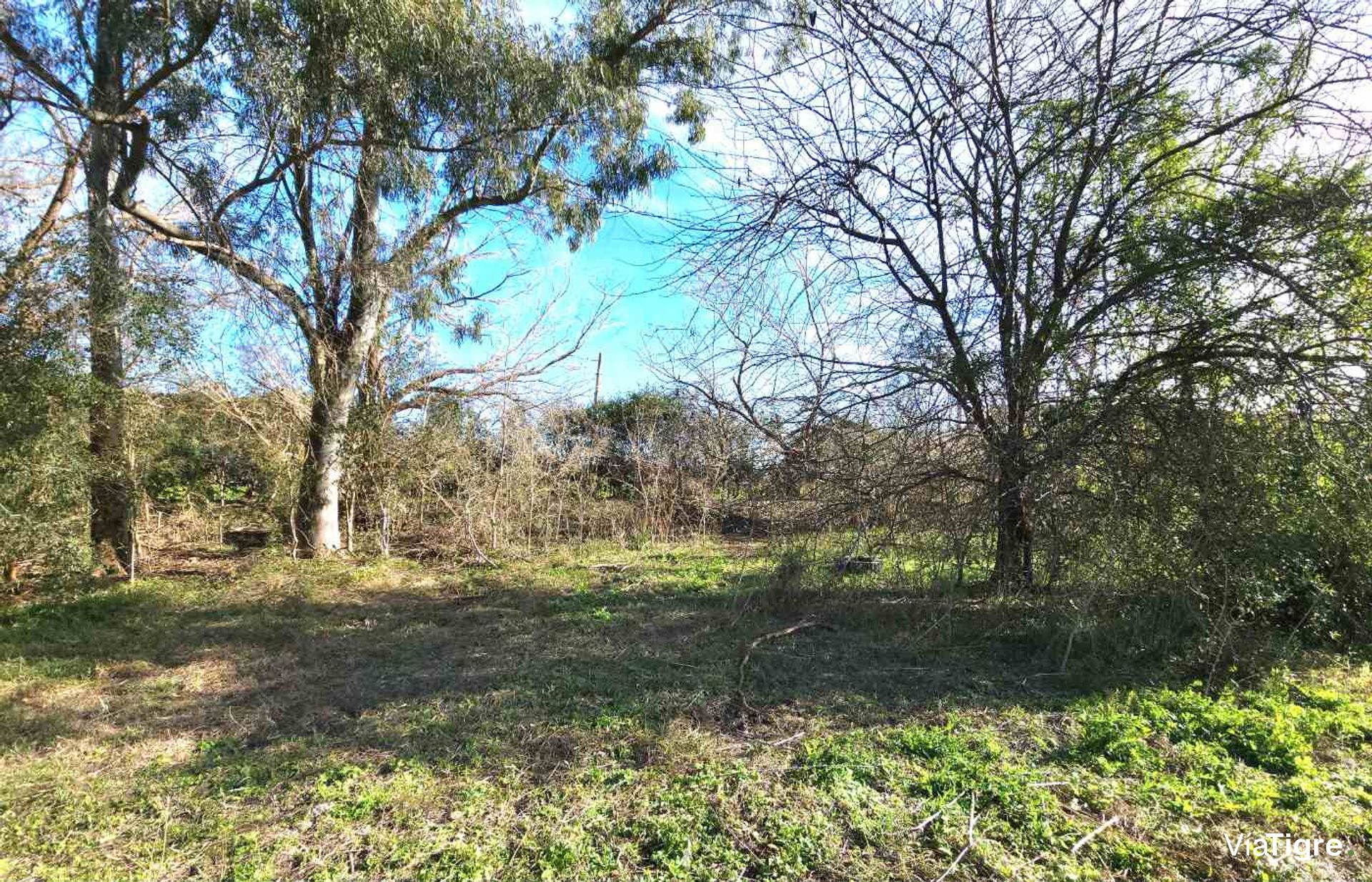 Venta De Lote En Benavidez