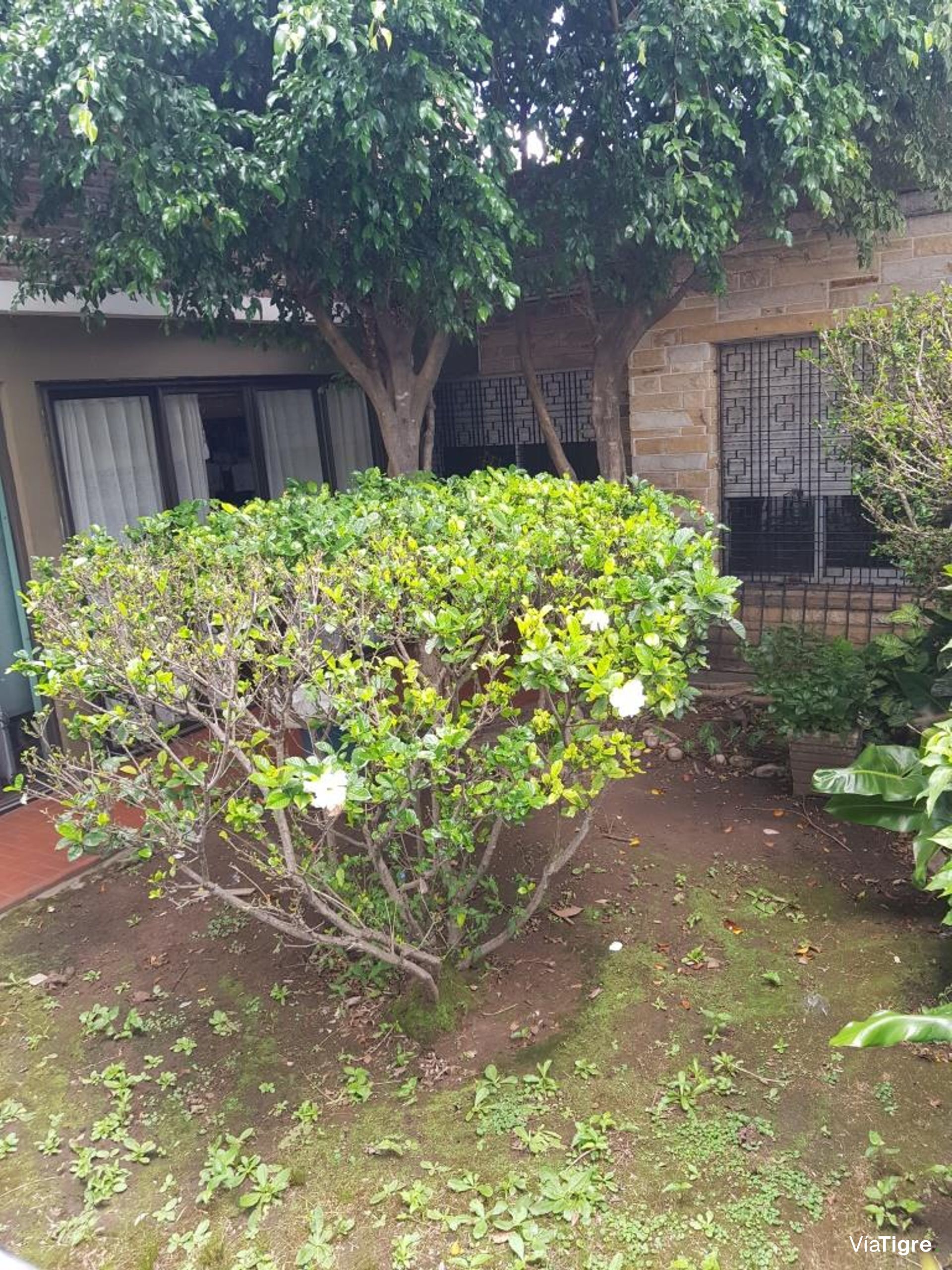 Venta Casa Para Refacción Total Boulogne
