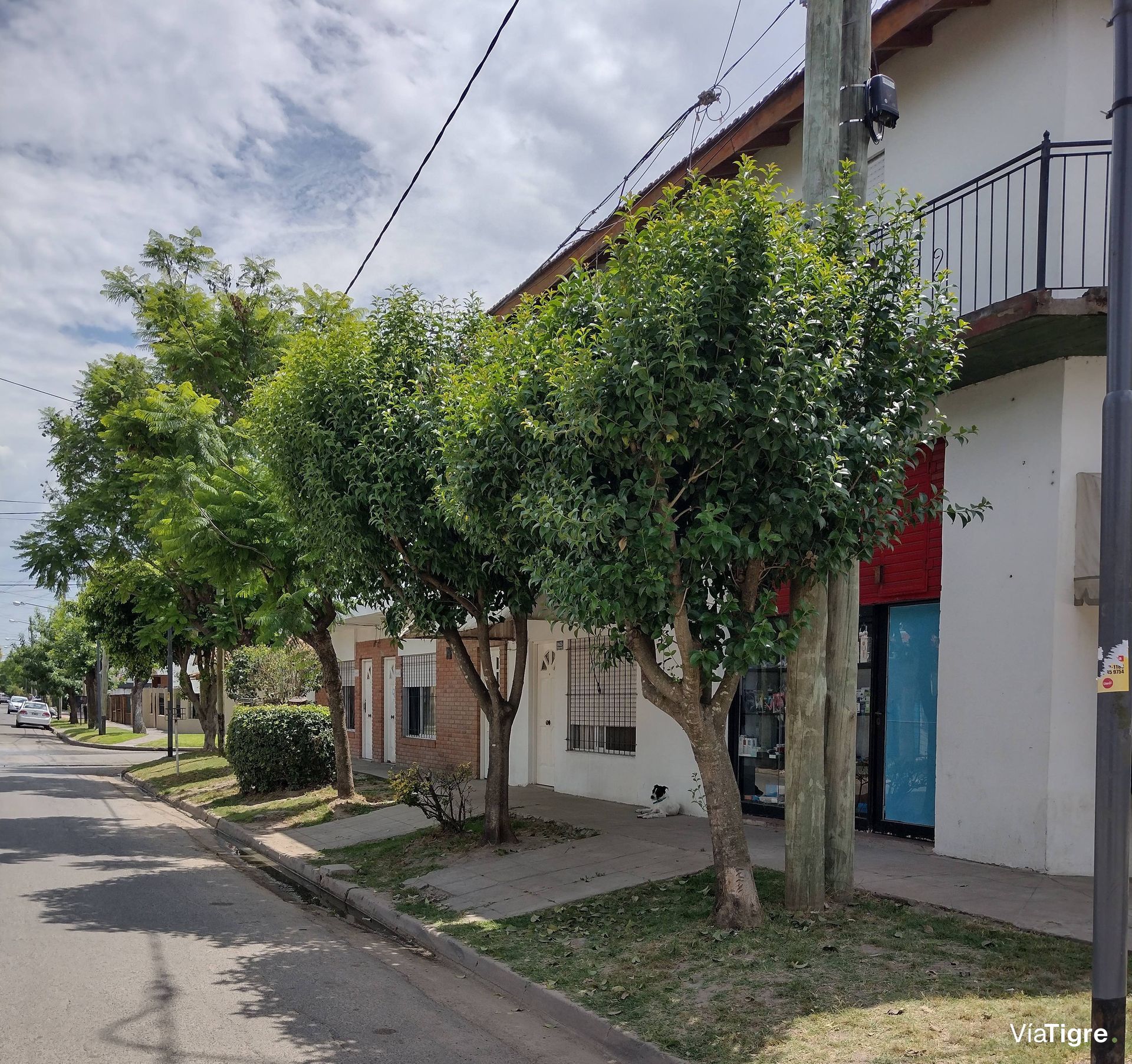 Edificio en Venta departamentos Local PachecoTigre