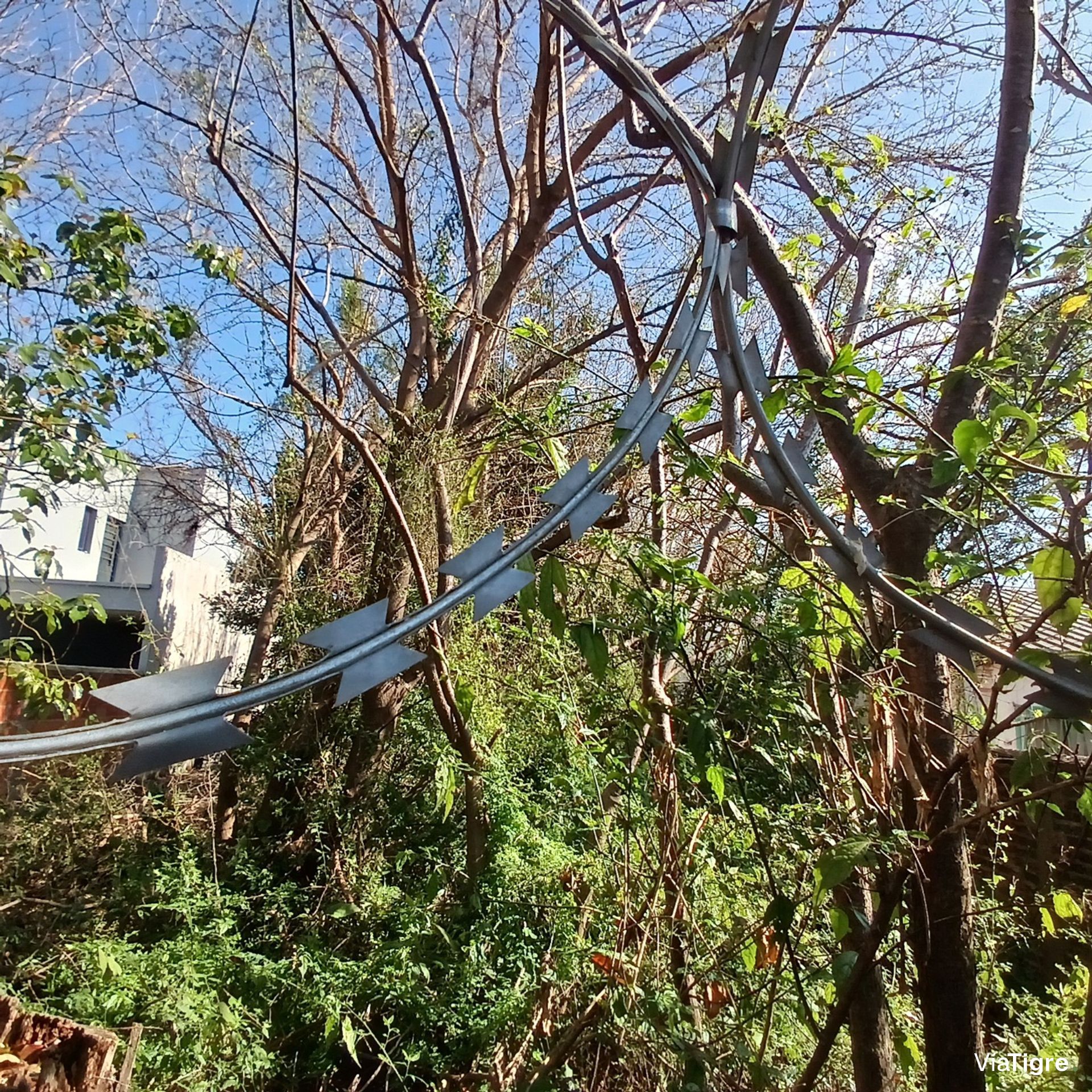 Venta Lote 10X65 Pacheco Tigre Ideal Inversor
