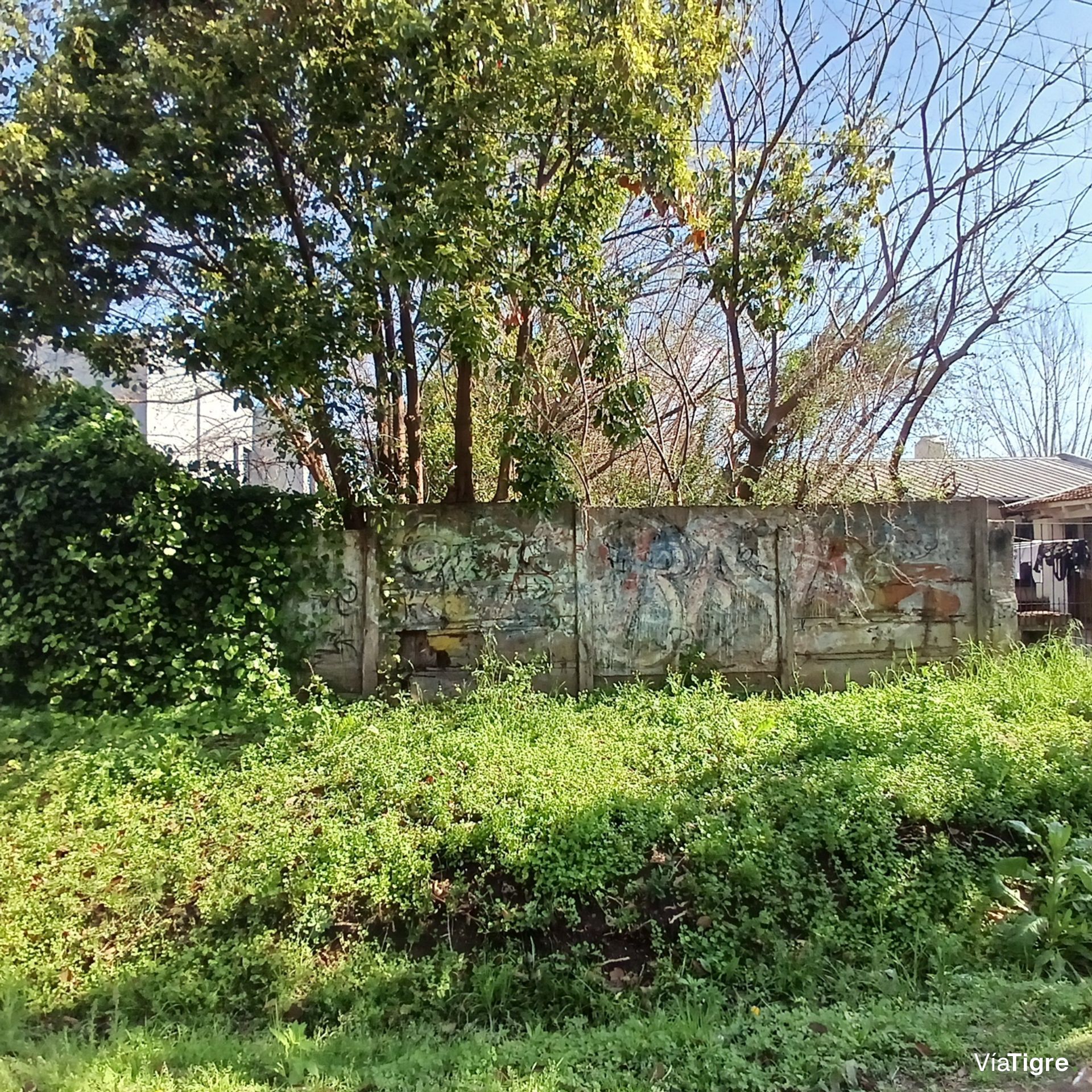 Venta Lote 10X65 Pacheco Tigre Ideal Inversor
