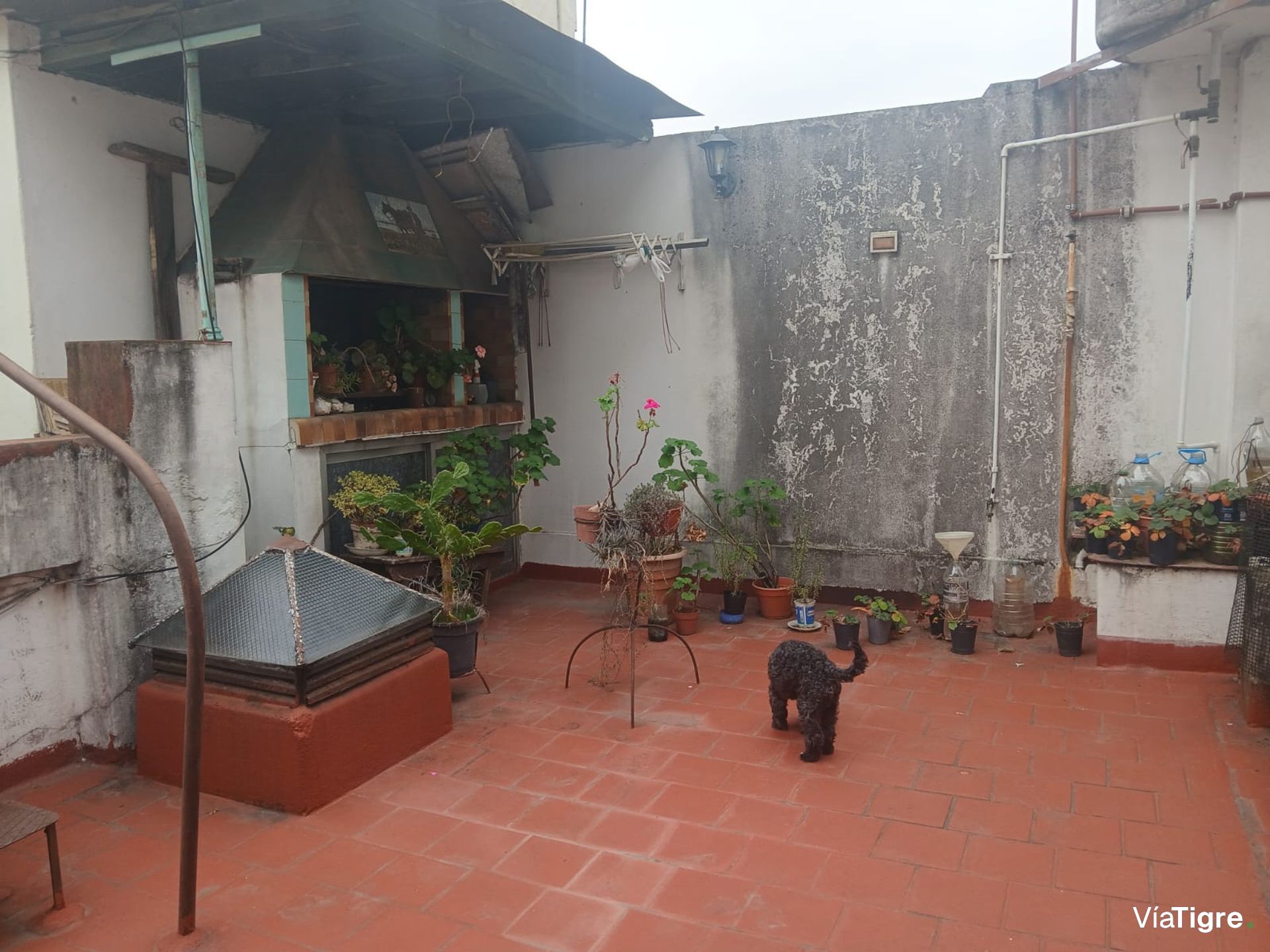 Venta Ph 4 Ambientes Jardín La Calabria San Isidro