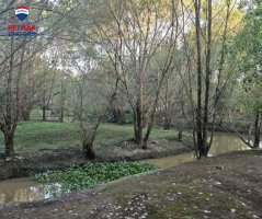 Lote de 800m2 Palmares del Delta
