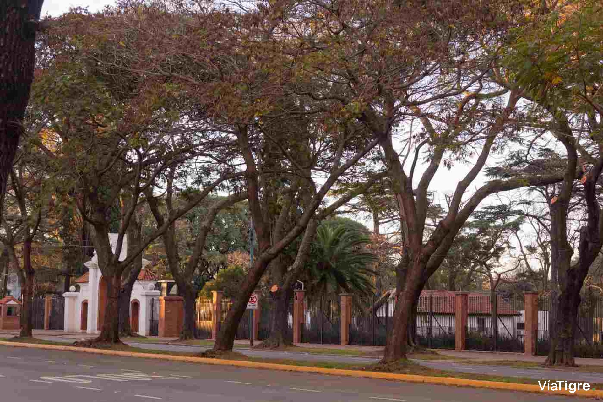 Departamento Alquiler 3 ambientes Olivos Luminoso