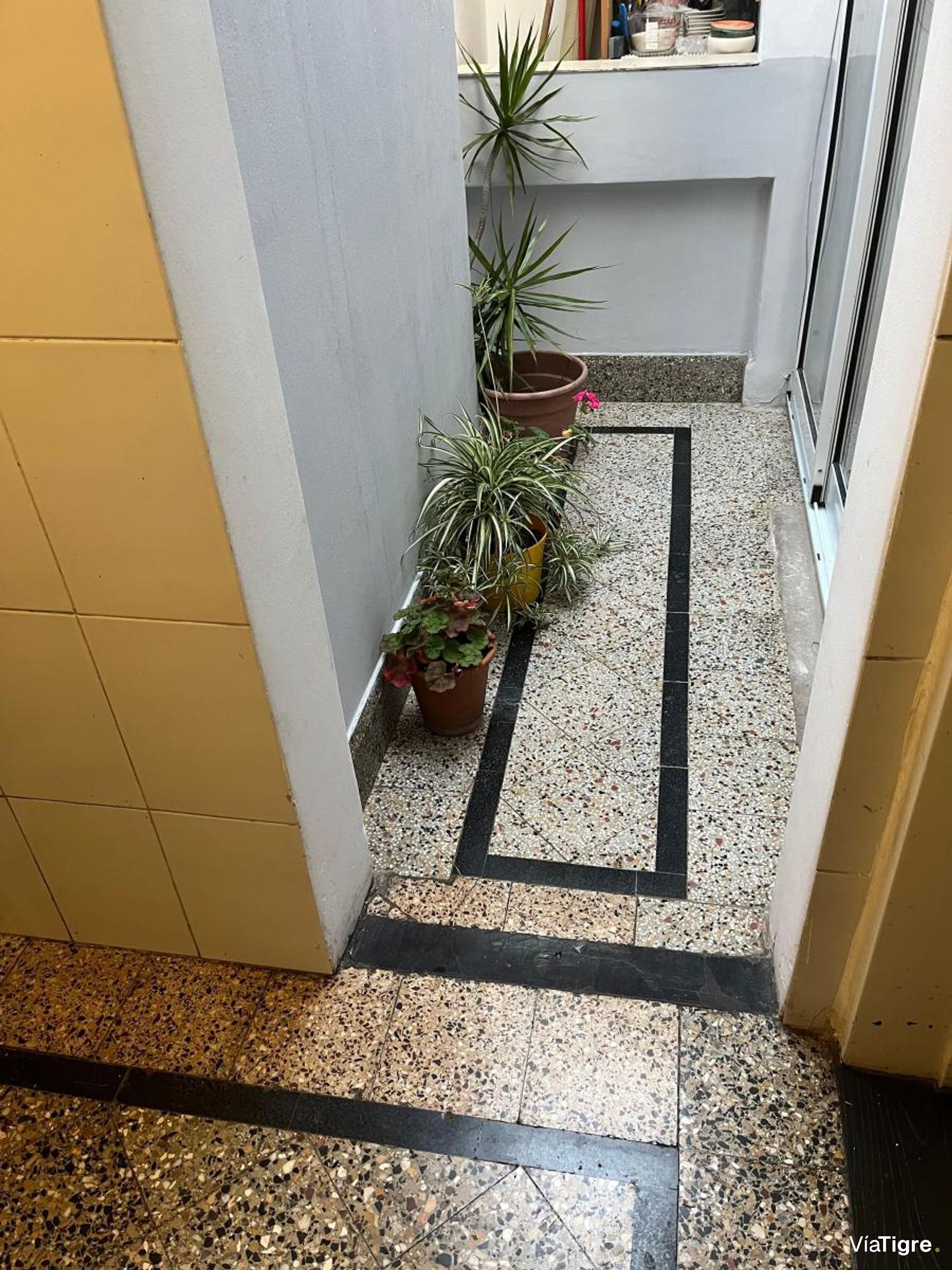 Venta Ph Dos Amb Olivos Sin Expensas Con Terraza